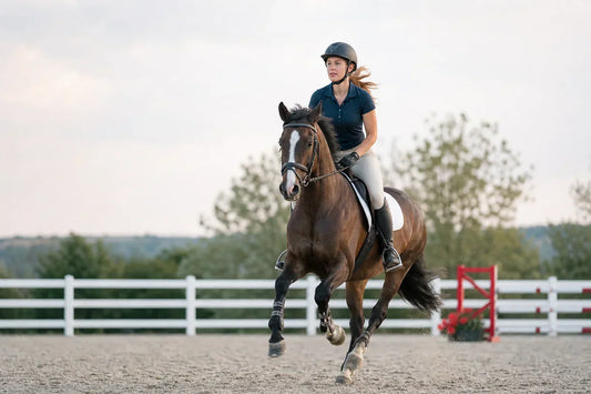 Best Camera for Equestrian Training Videos